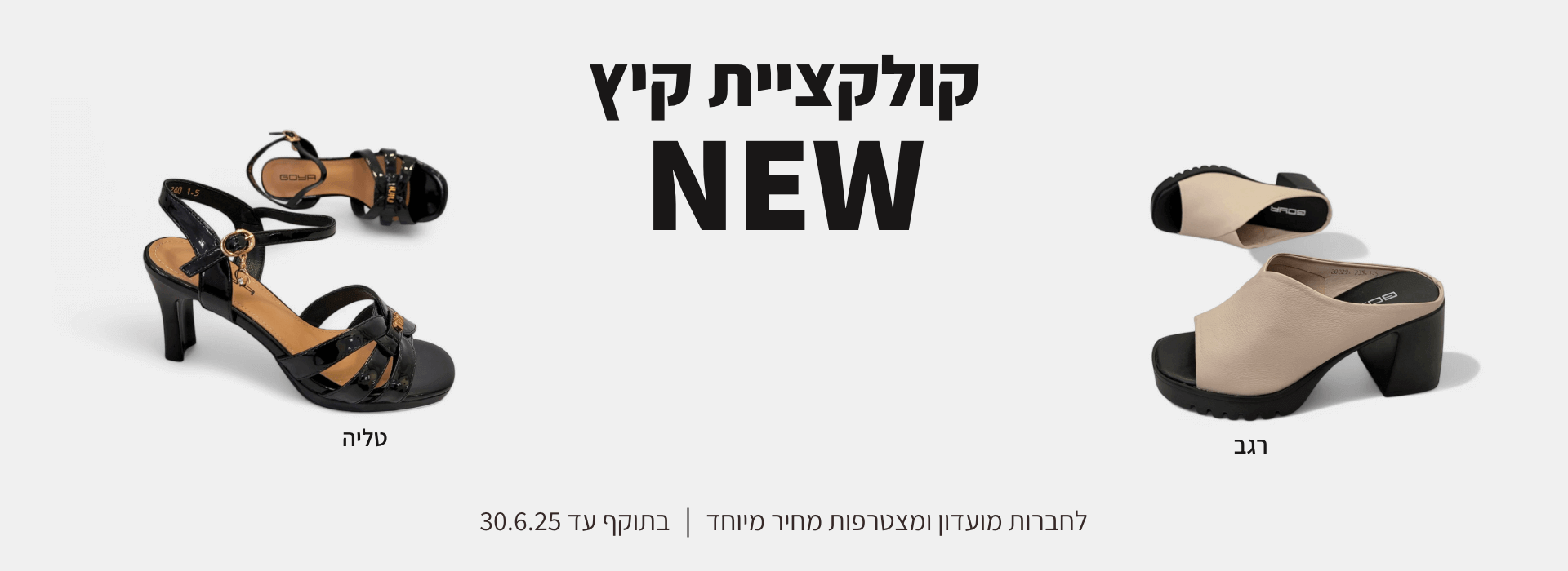 רגב טליה